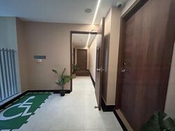 Mount Elizabeth Link (D9), Condominium #484100541
